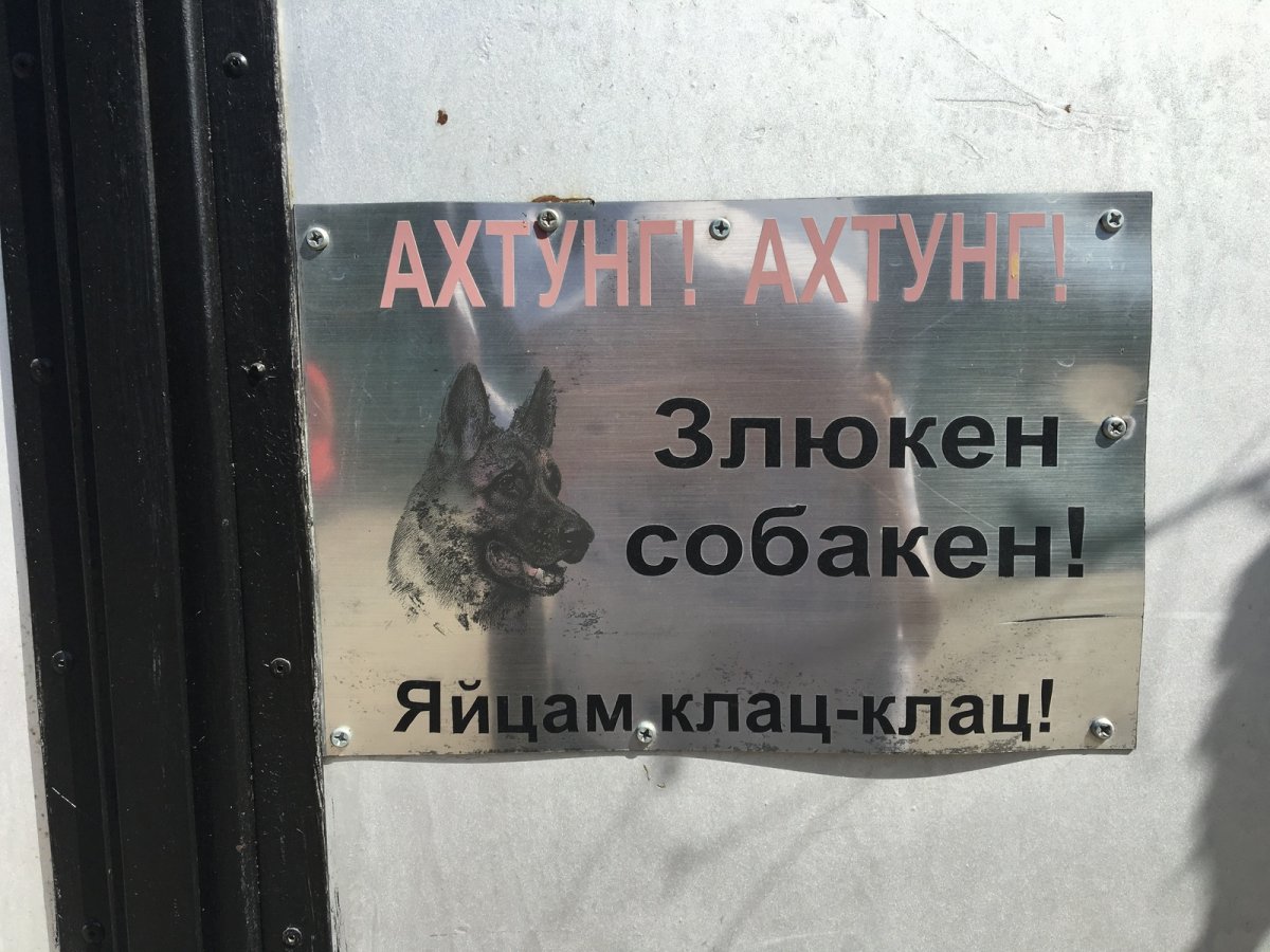 Ахтунг злая собака яйца клац клац