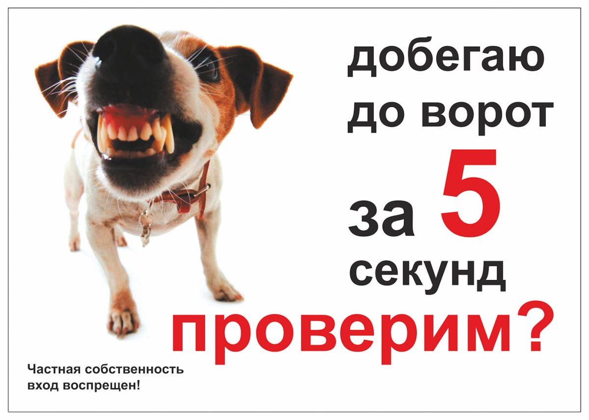 Осторожно злая собака прикол