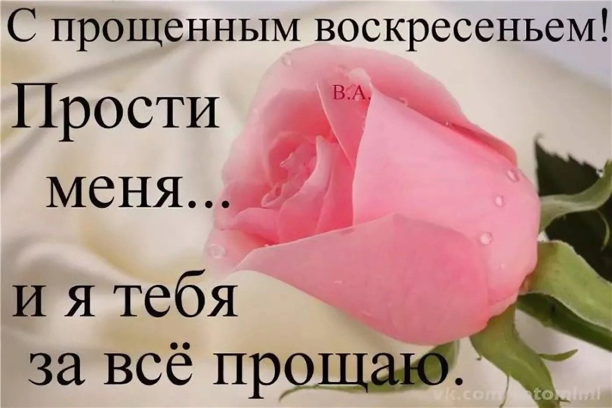 Открытка я тебя прощаю