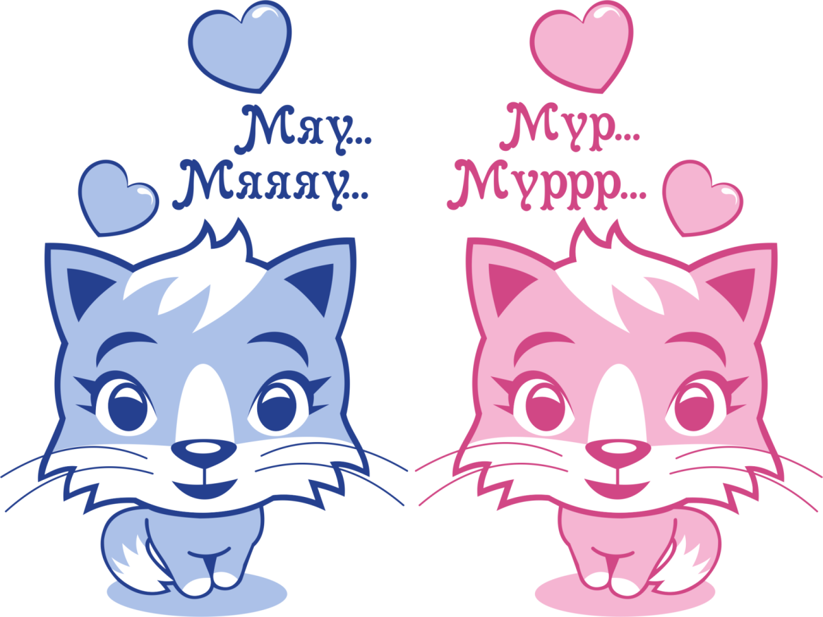 Котик Мур Мур