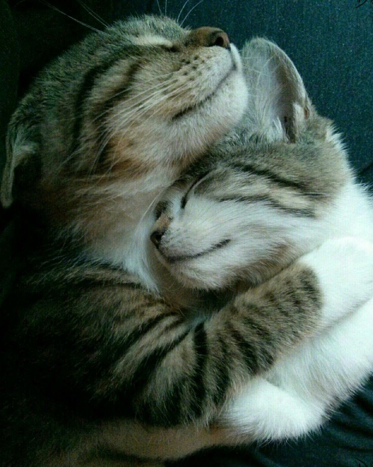 Хочу тебя обнять