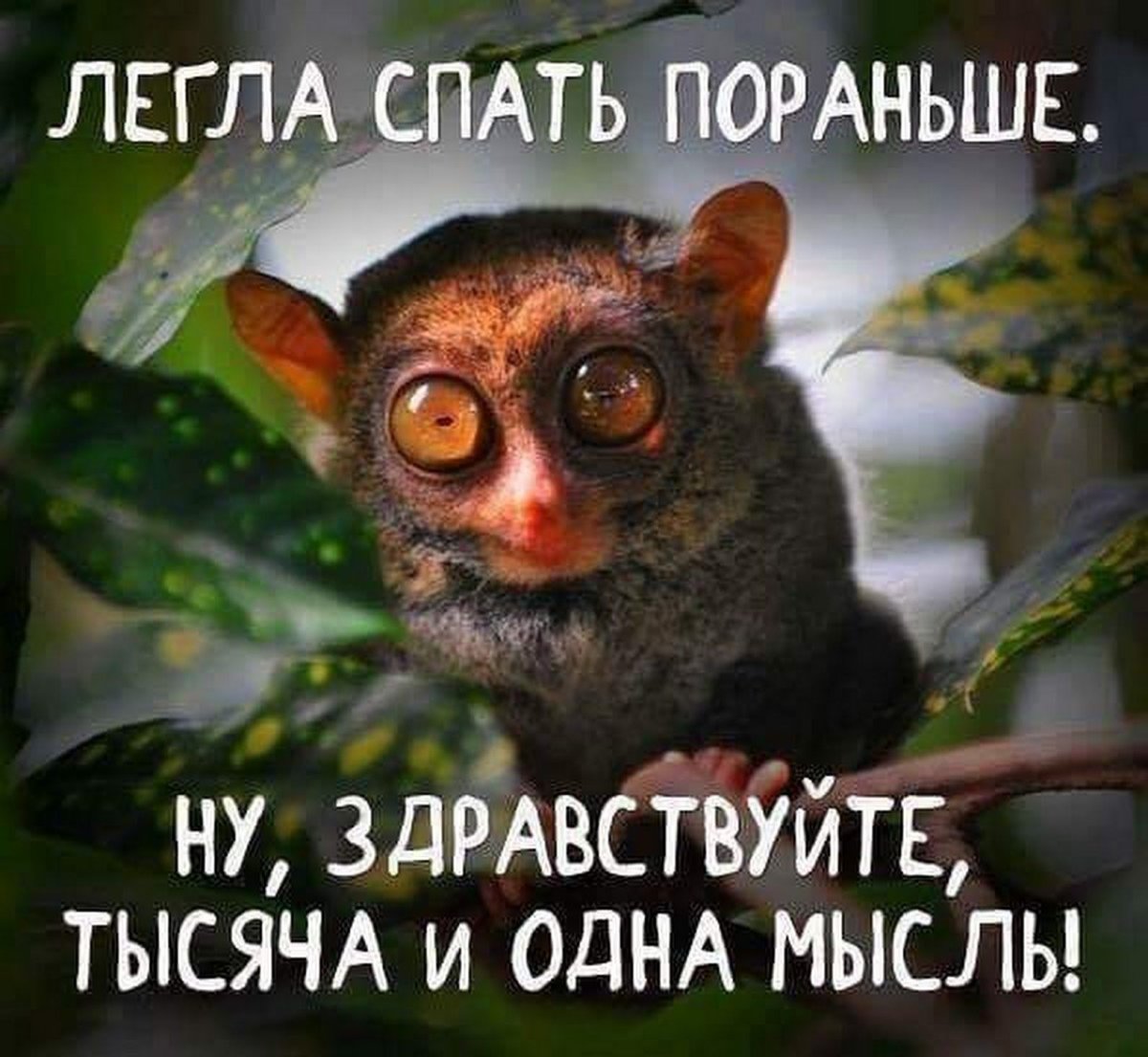 Ложись спать пораньше