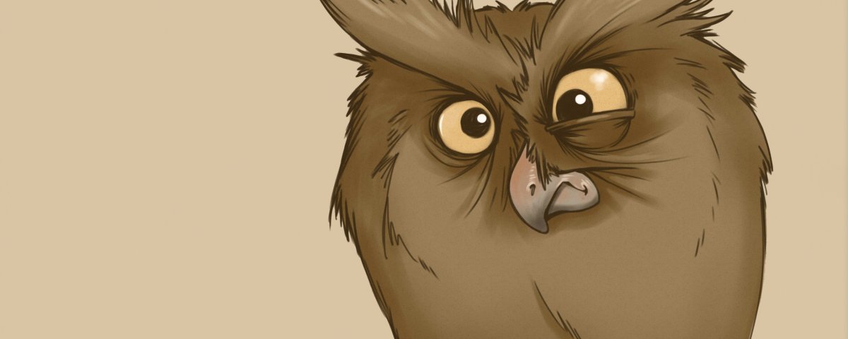 Взгляд Совы