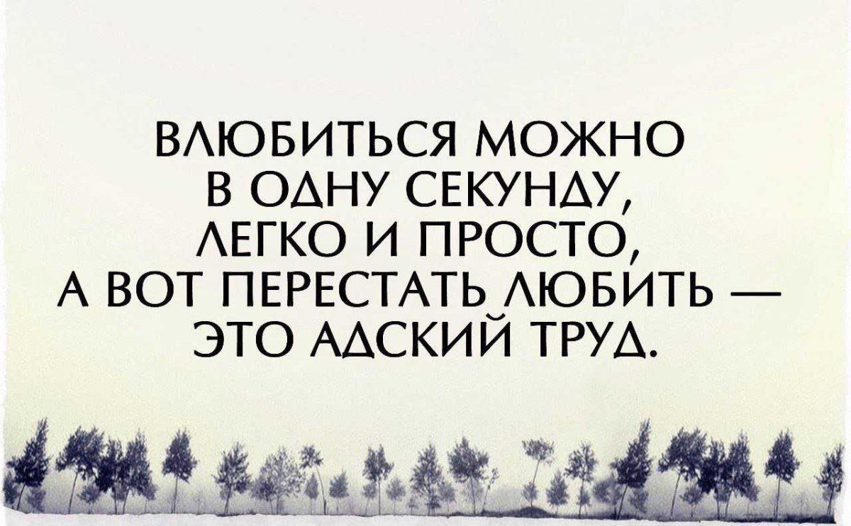Терпению приходит конец цитаты