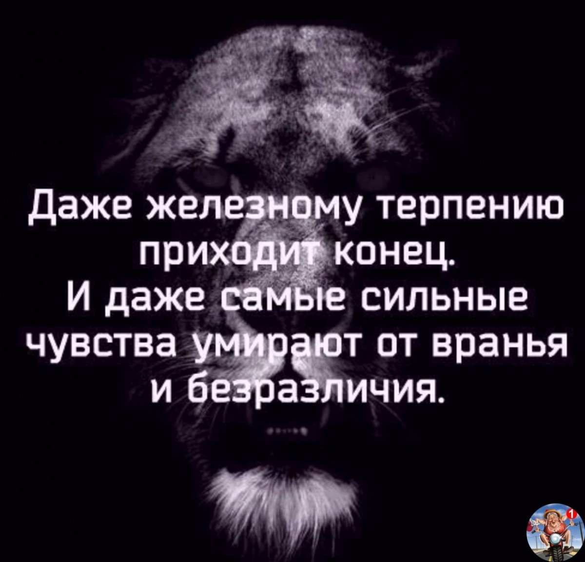 Железному терпению приходит конец