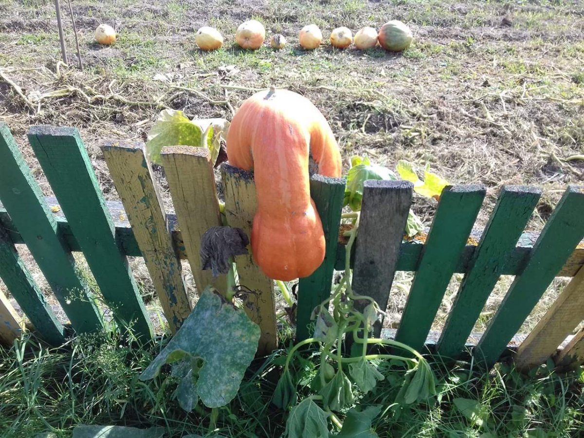 Я оглянулся посмотреть не оглянулась