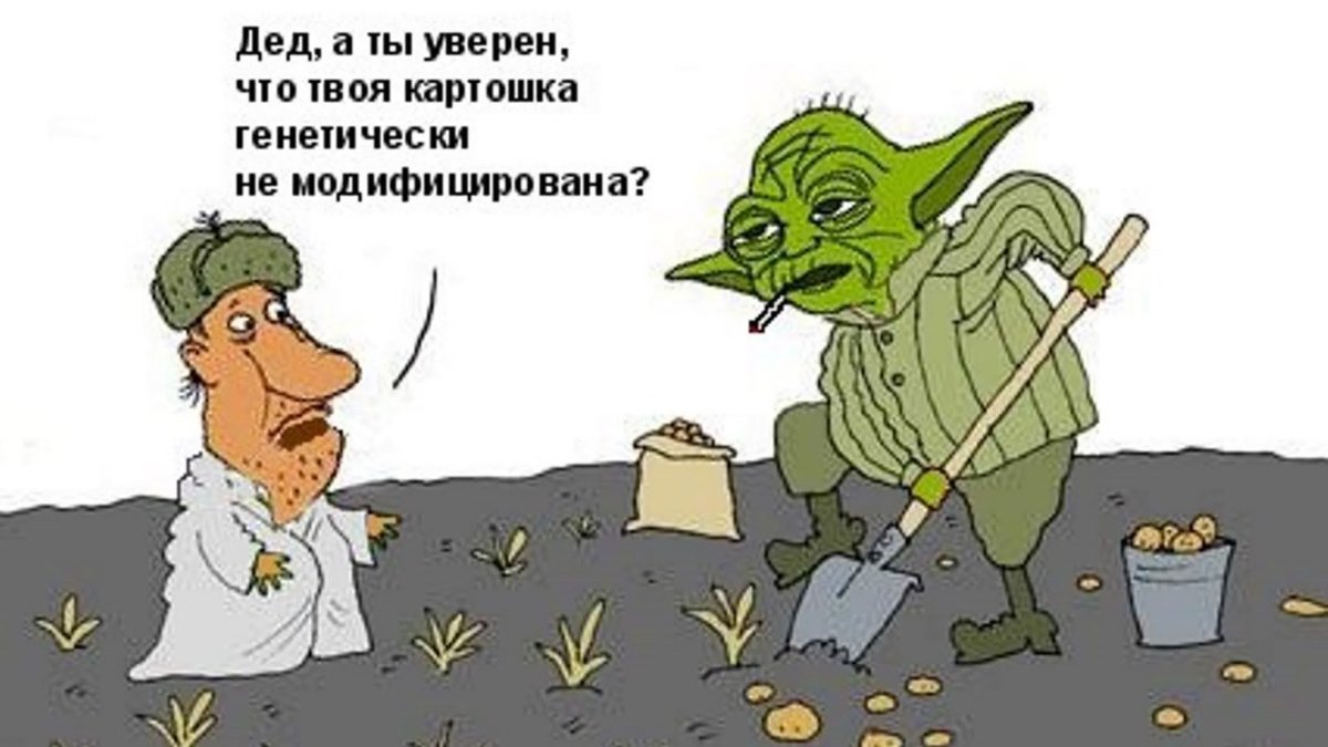 Тяпнуть соточку на даче