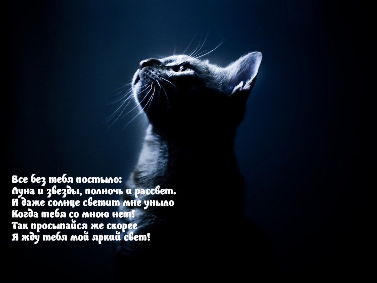 Жду тебя картинки