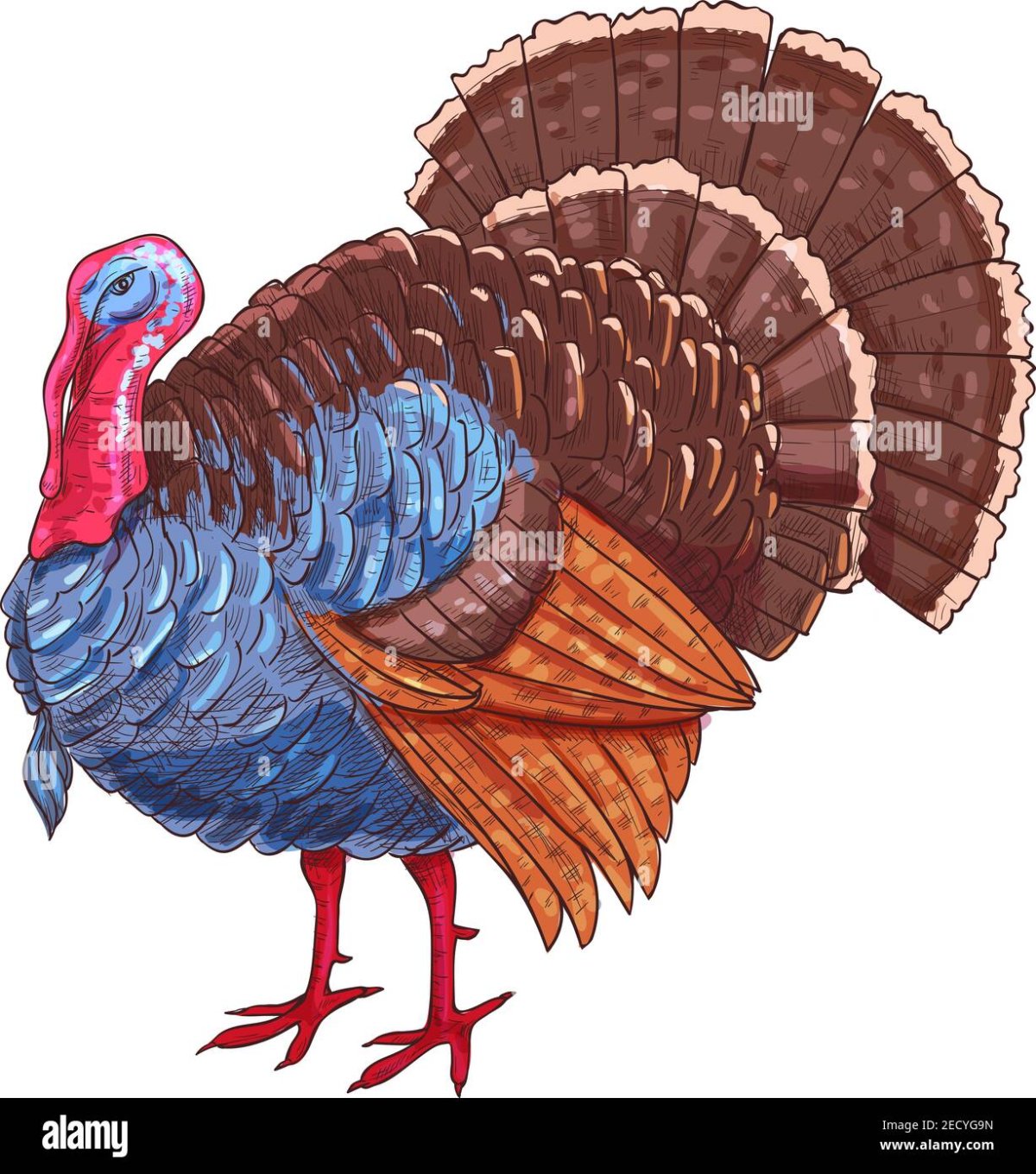 Индюк стилизация