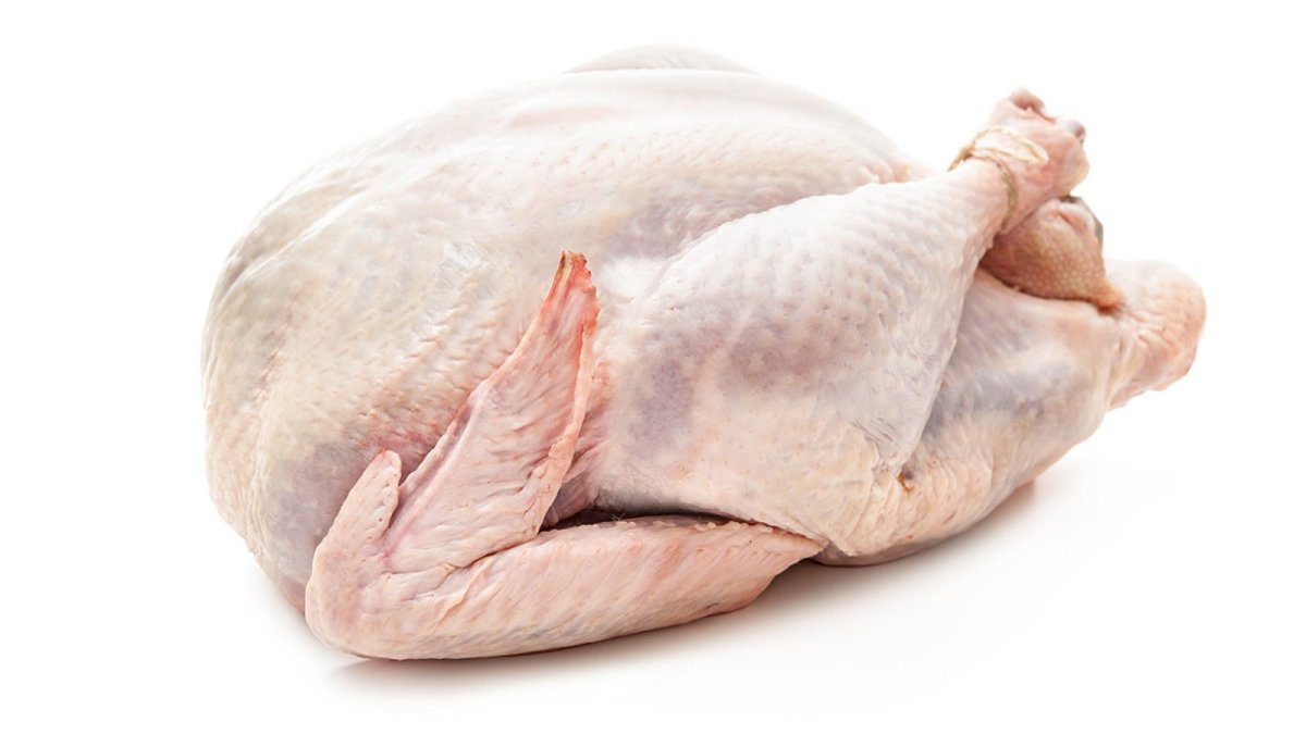 Индюк черно белый