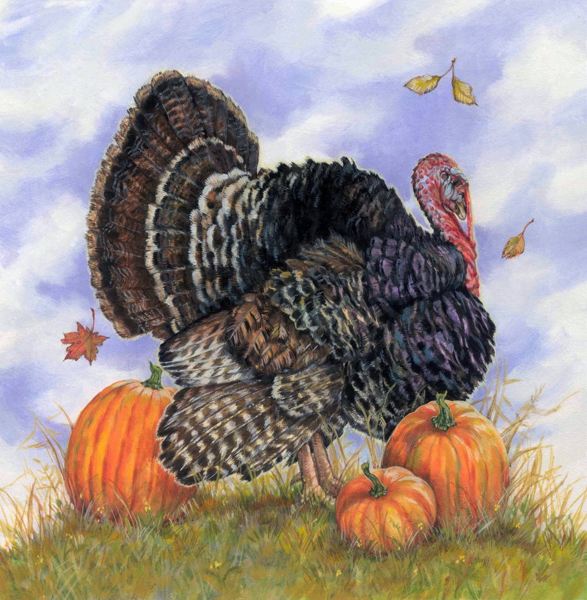 Индейка мясо на белом фоне