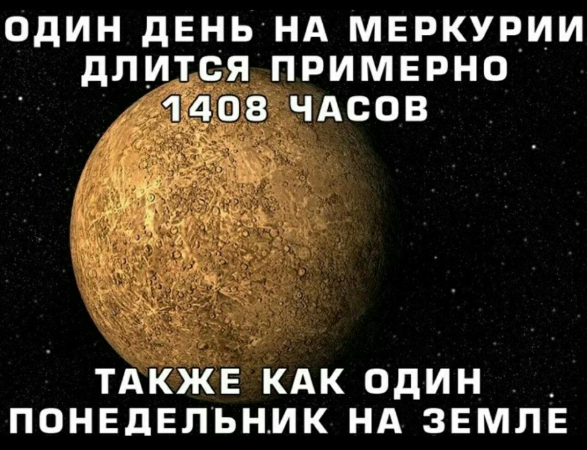 Завтра понедельник картинки прикольные