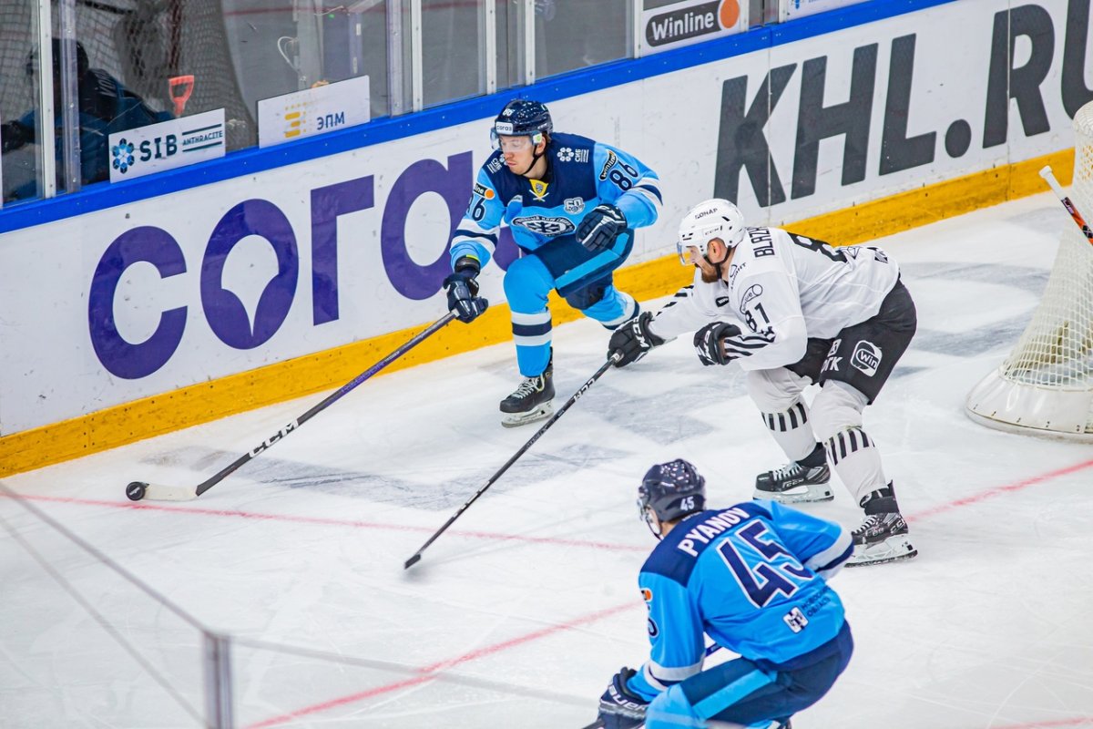 Антон Красоткин Сибирь КХЛ