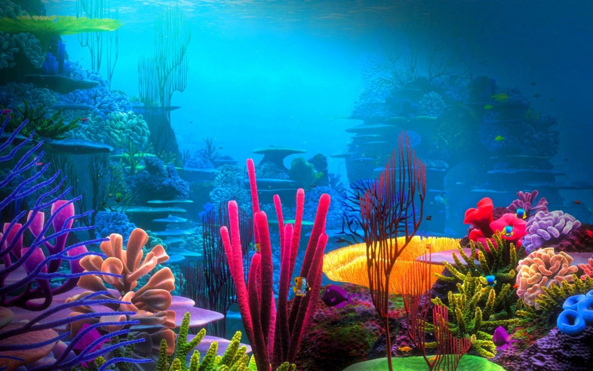 Ариэль водоросли кораллы риф