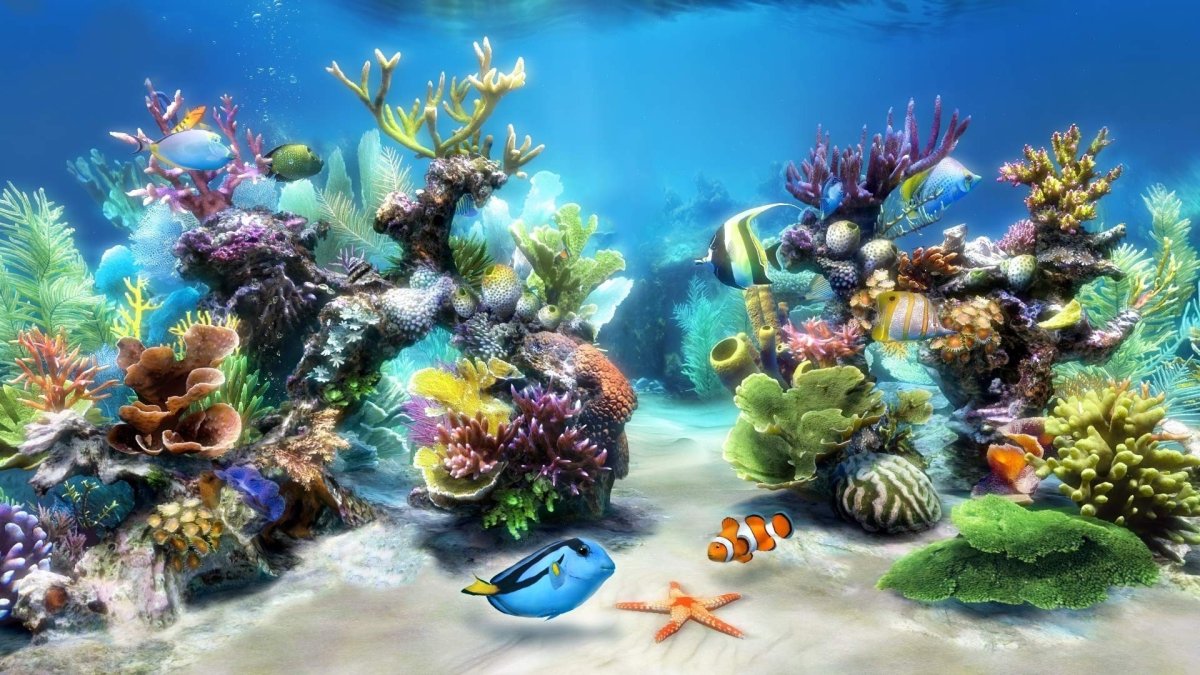 Обитатели морского дна