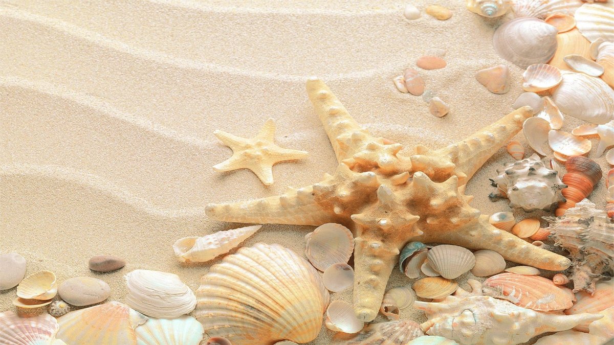 Морское дно