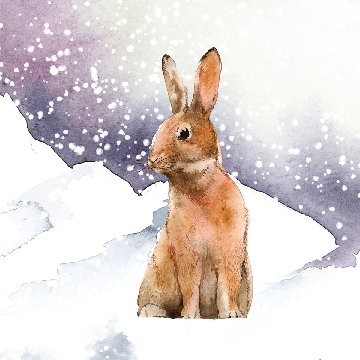 Крольчата зима