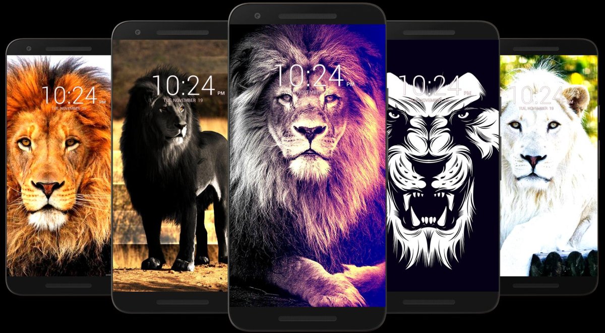 Обои Лев на ксиоми