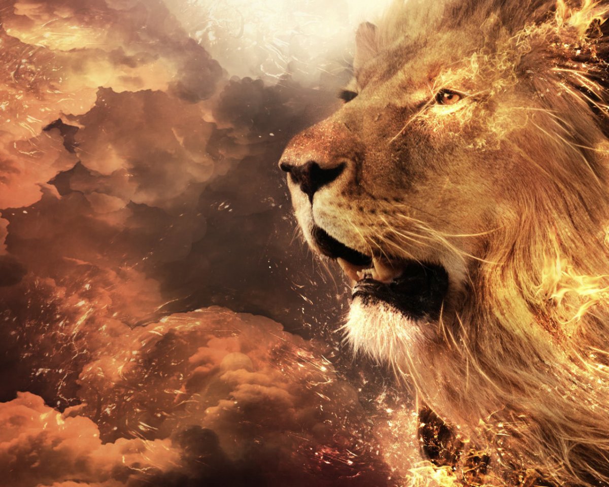 Обложка для ВК Лев