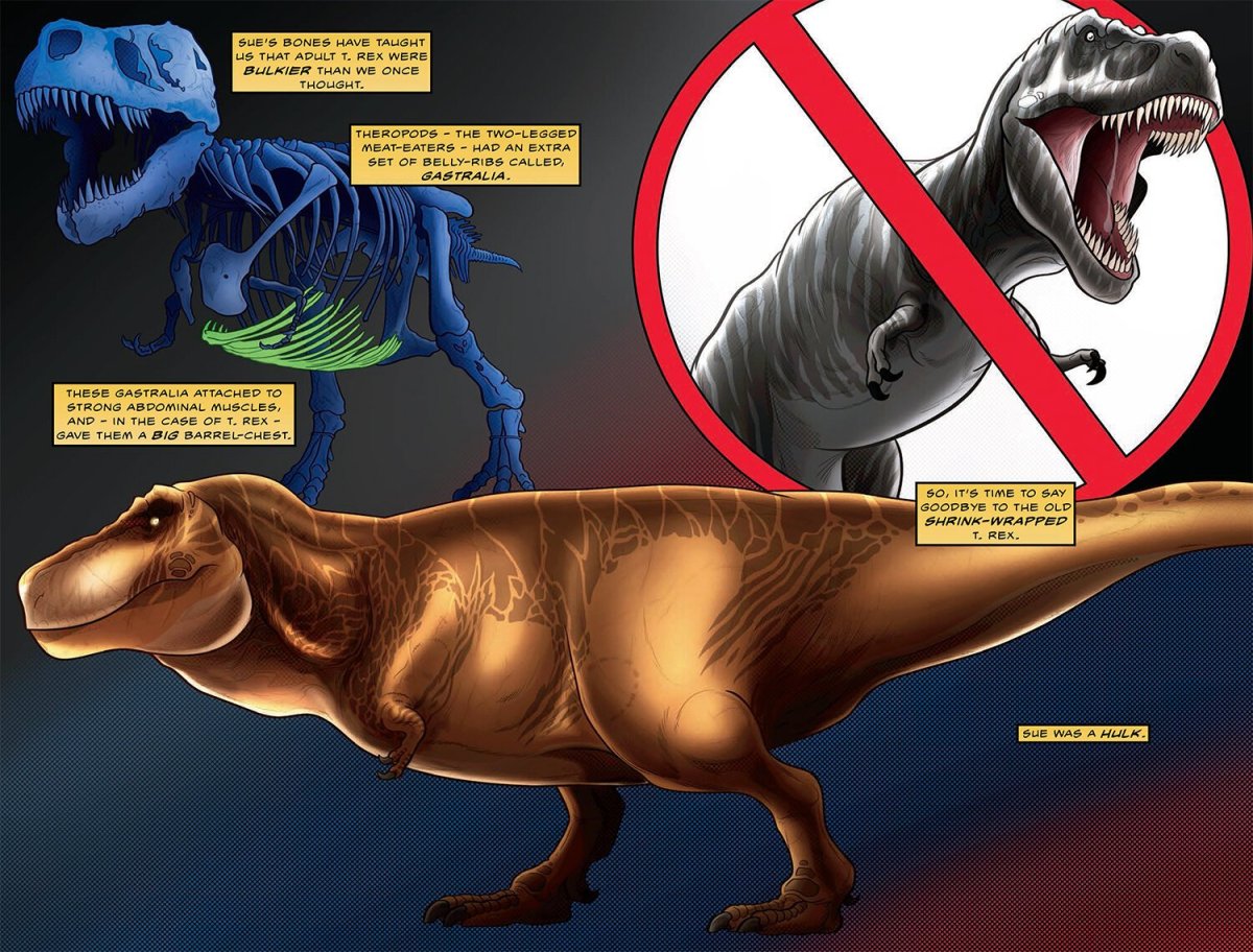 Тираннозавр Сью 2020