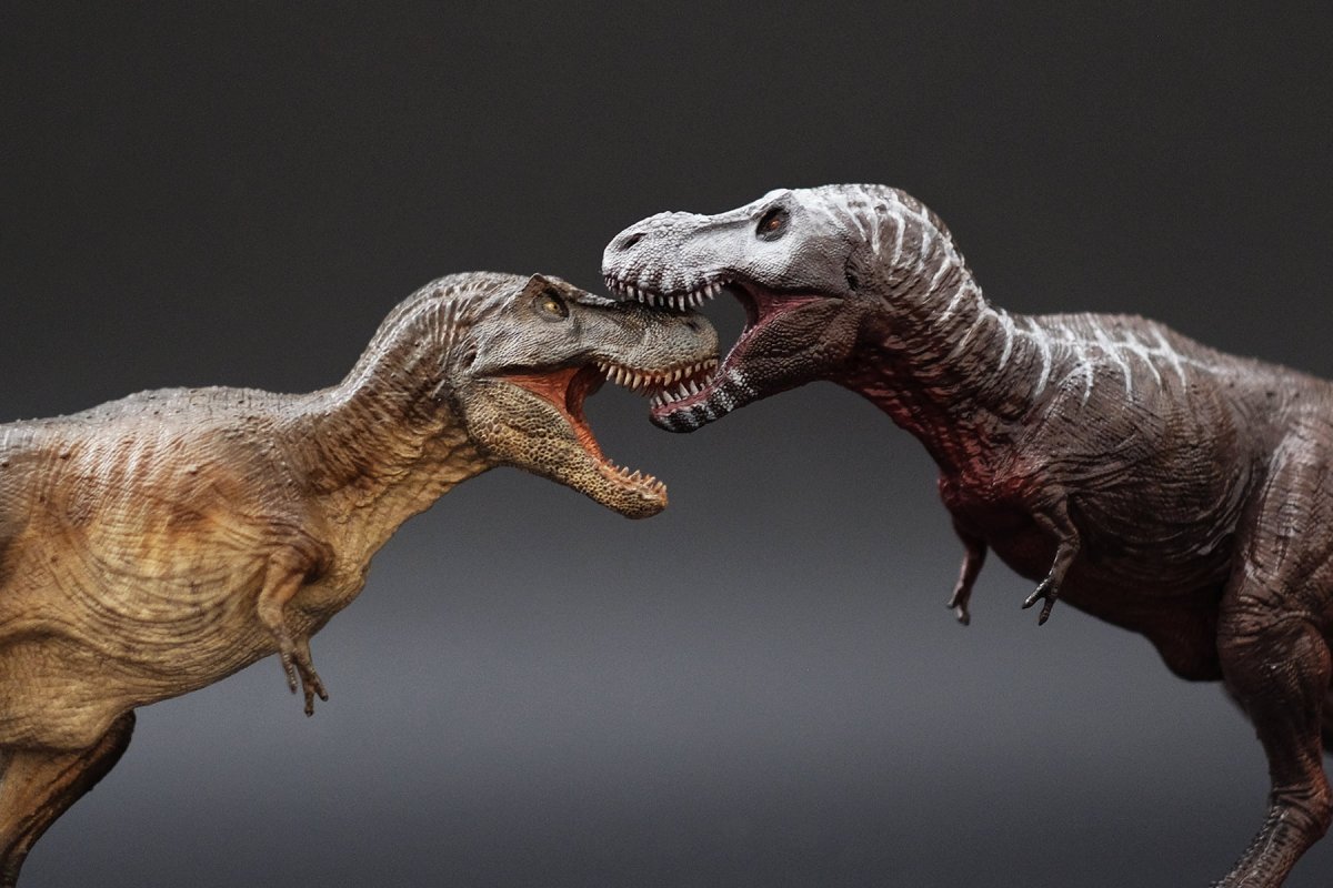 Группа Тираннозавр рекс