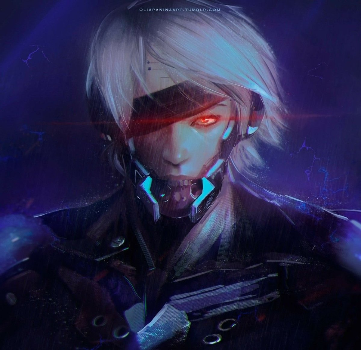 Raiden Metal Gear Rising