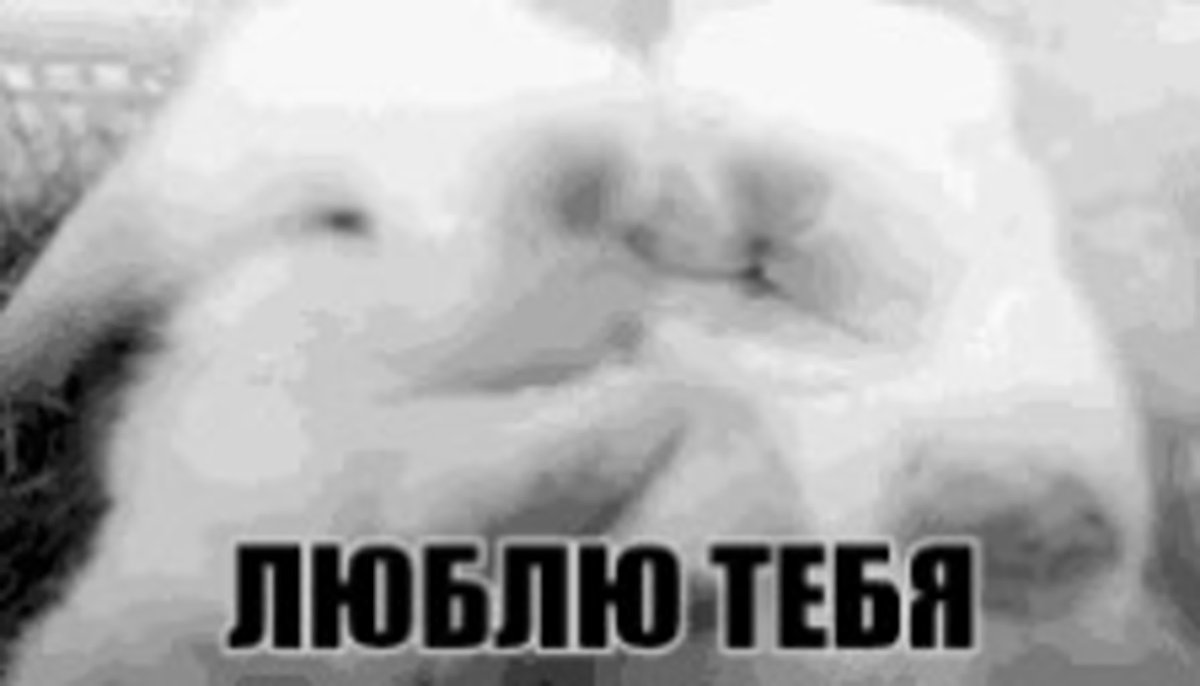 Заяц с морковкой