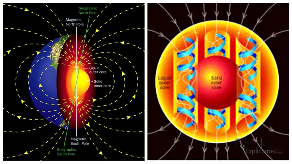 Тор человека поле Меркаба