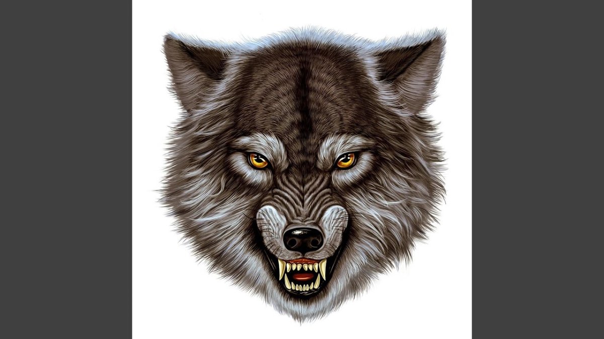Злой волк оскал