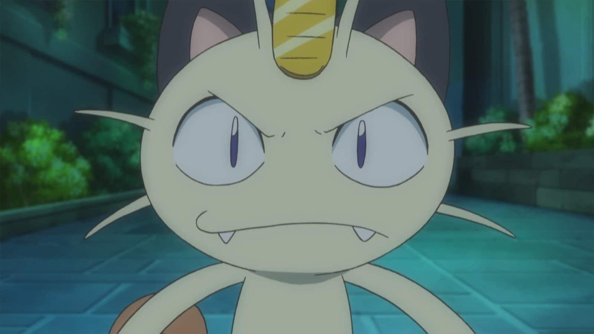 Мяут и Персиан