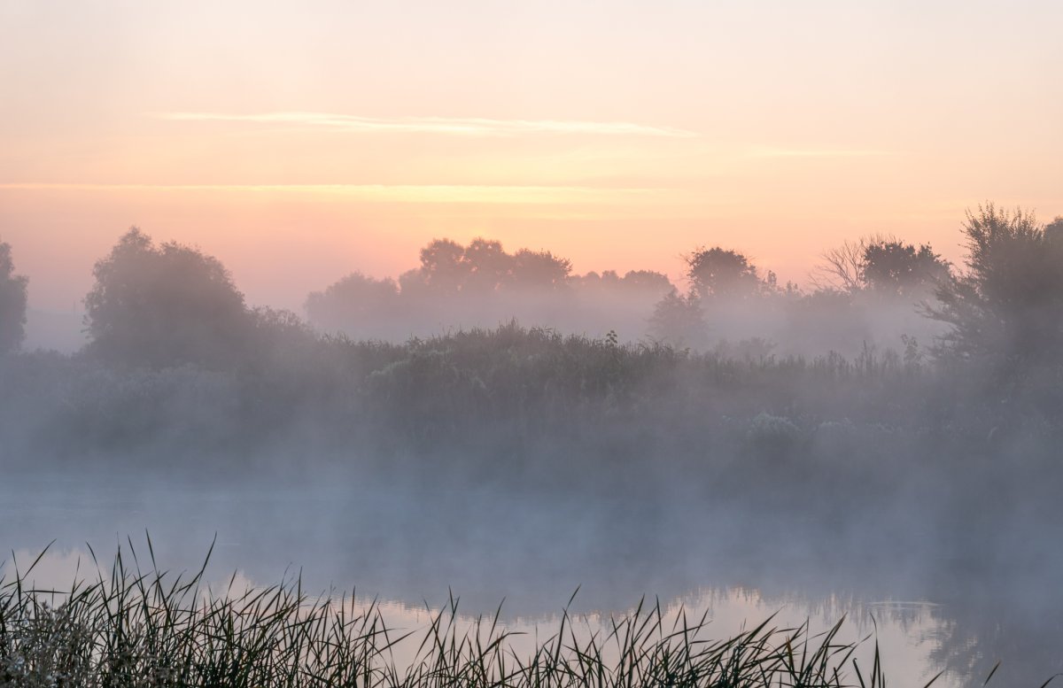 Доброе утро туман лето