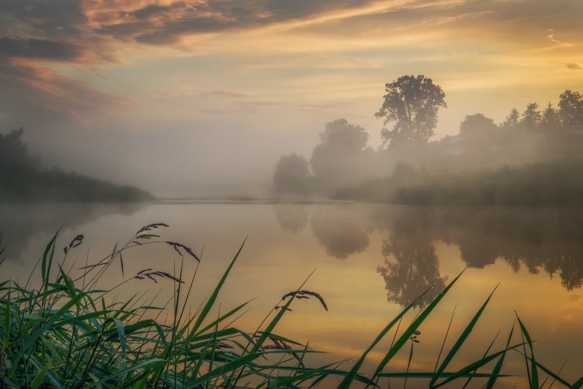 Туманное утро Фет