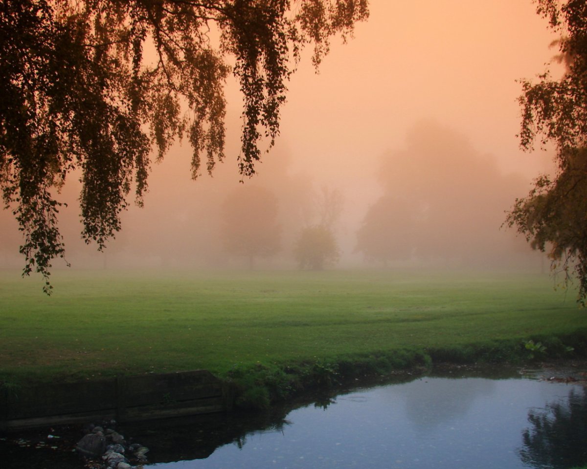 Утренний туман над рекой