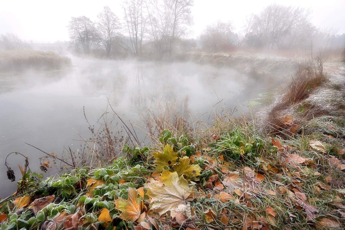 Осеннее прохладное утро