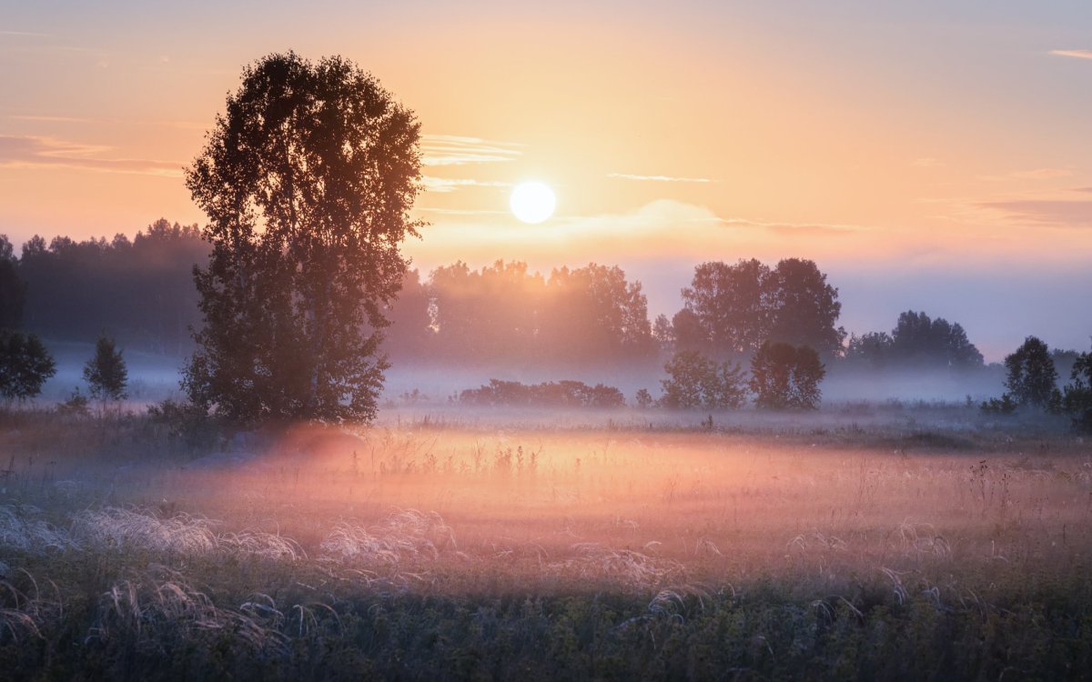 Туманное утро Фет