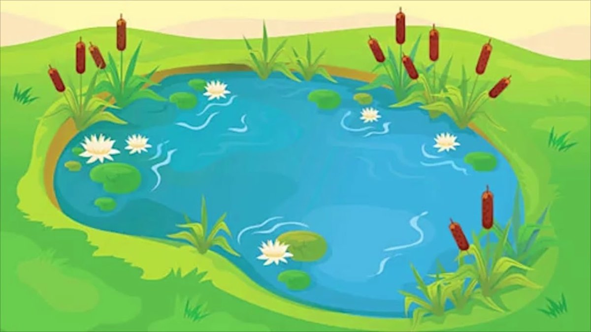 Озеро в парке вектор