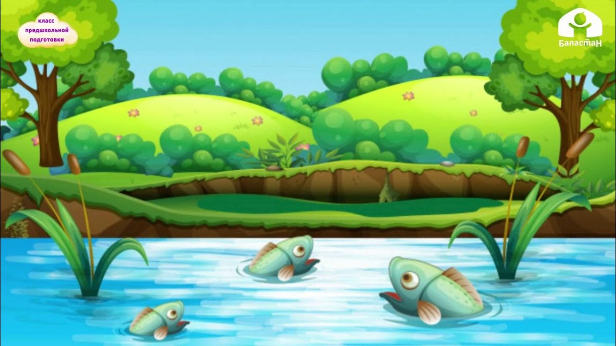 Пруд illustration