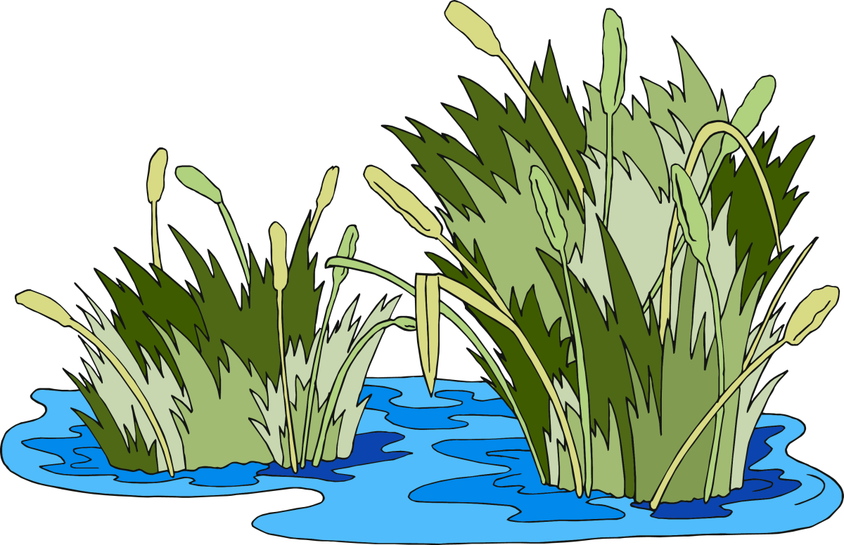 Водоем мультяшный