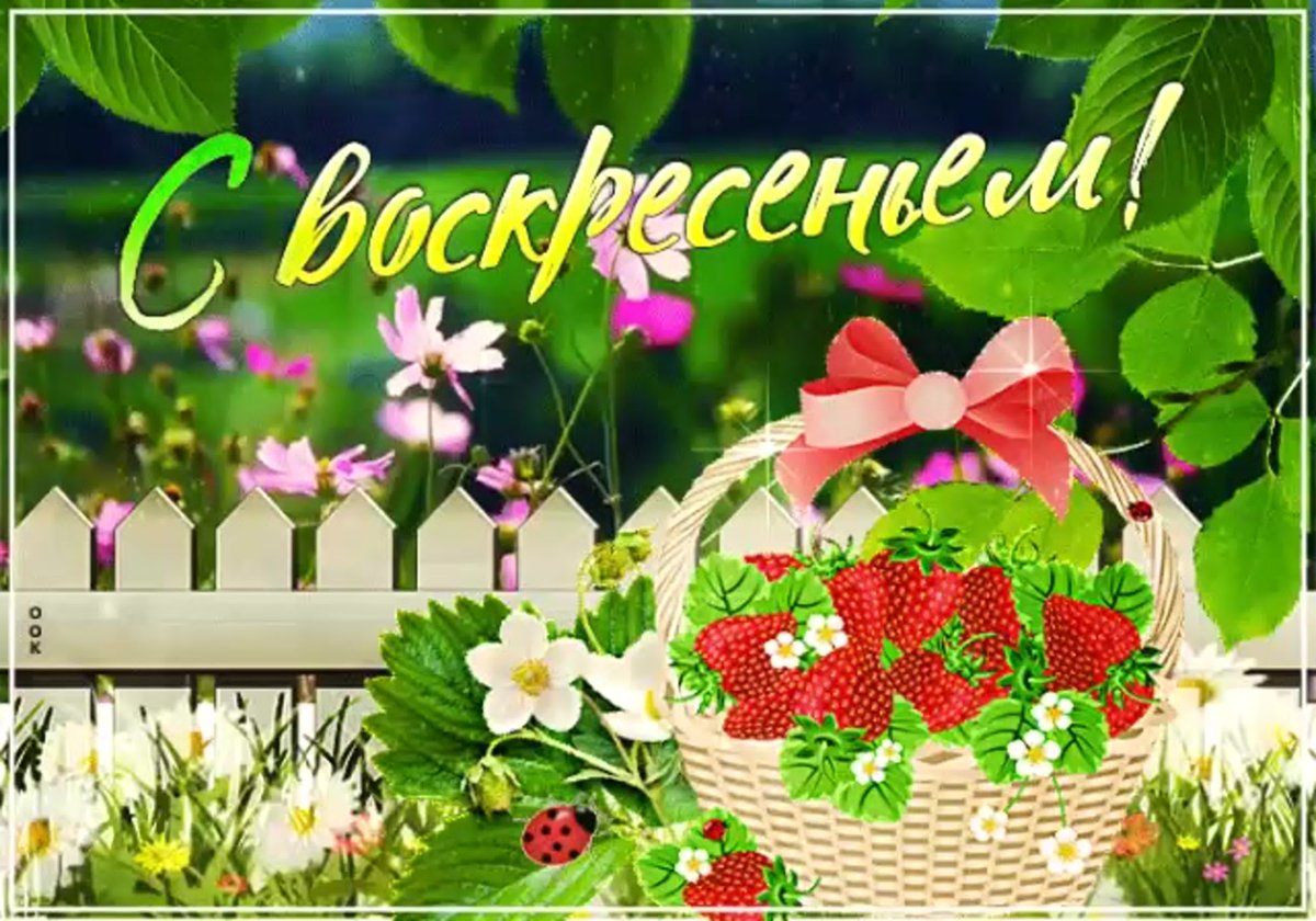 Пожелания здоровья и доброго уто