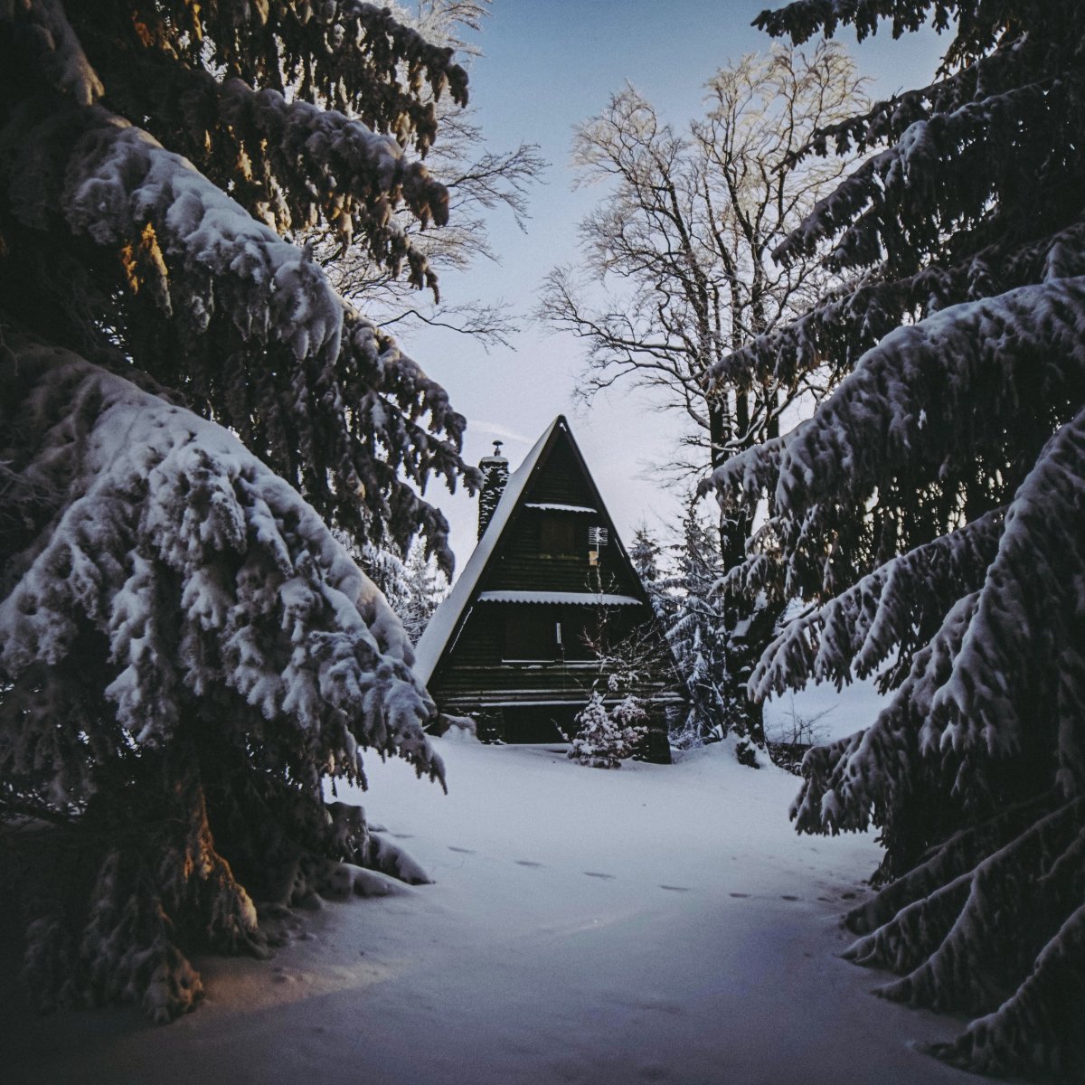 Дом в зимнем лесу