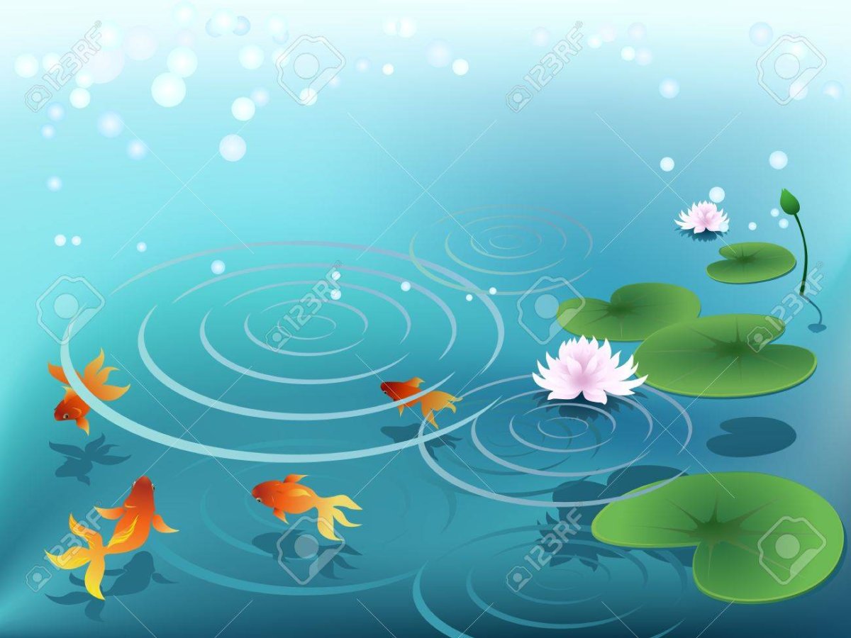 Нарисовать уток на пруду