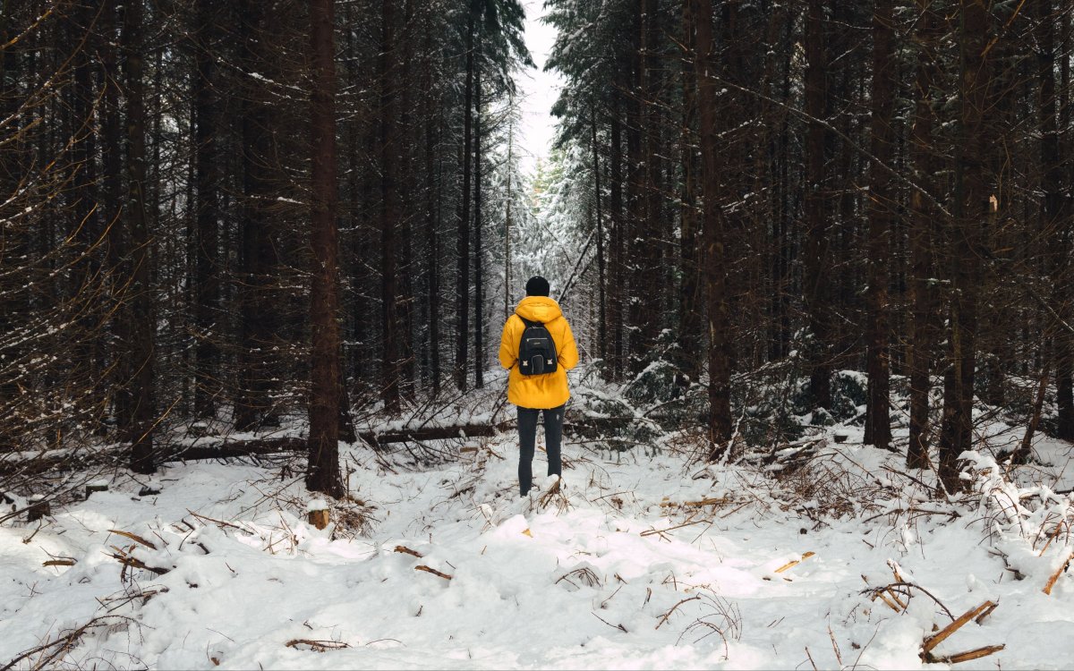 Человек в лесу зимой