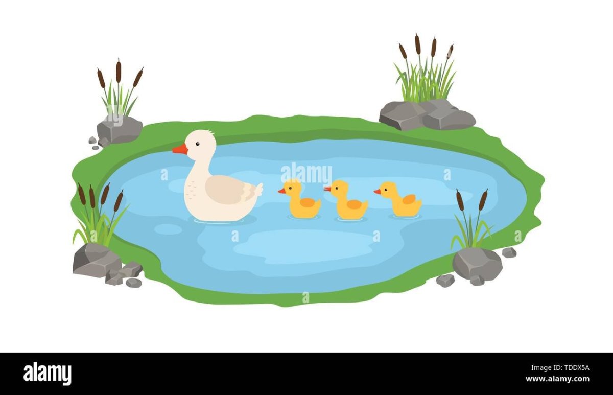 Фон в вмде водоёма детский