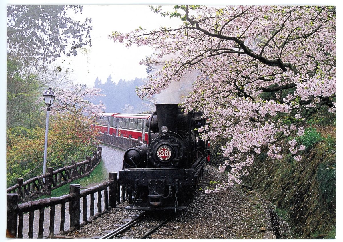 Художник Erdinc Altun