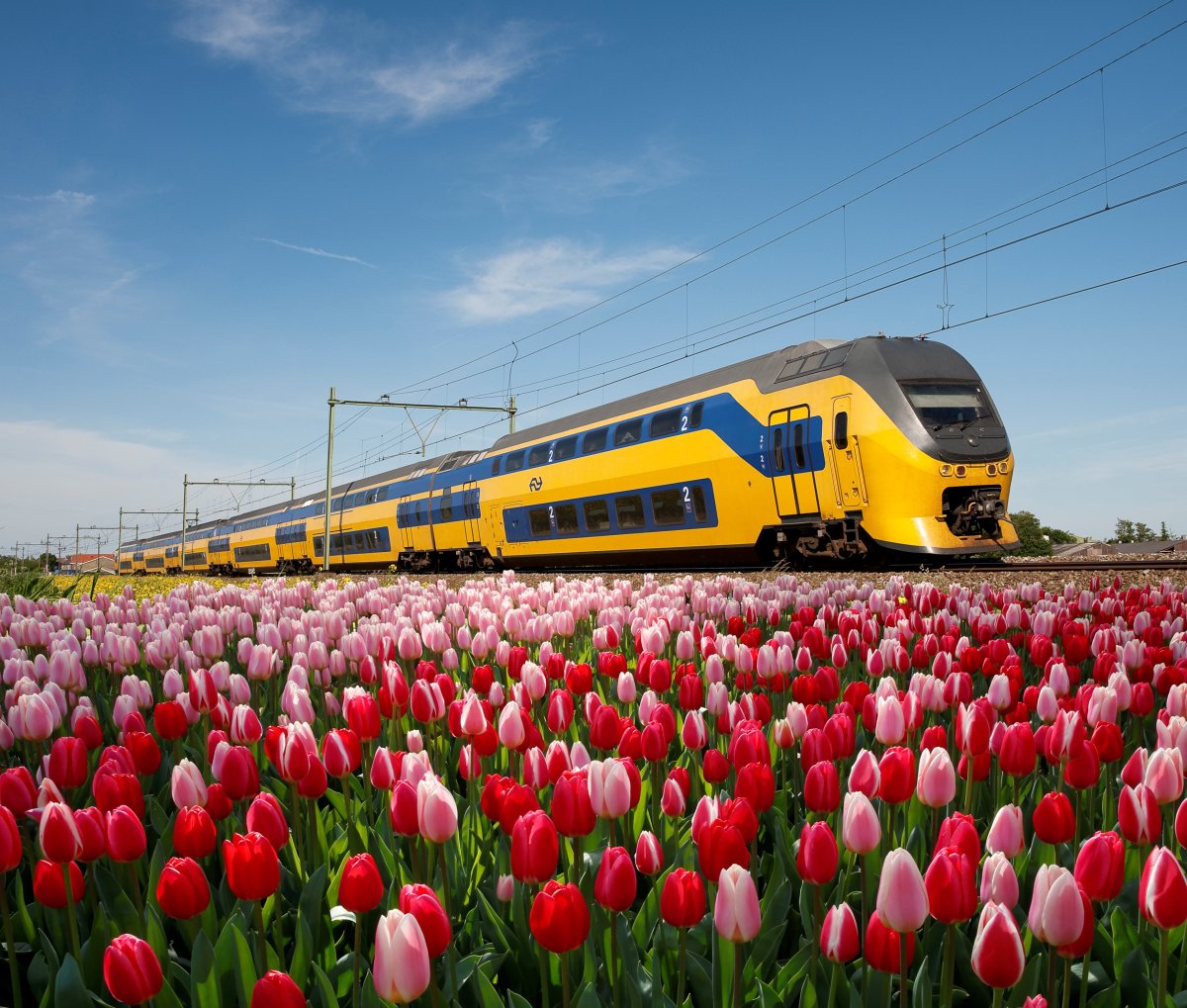 Краснодар Весна трамваи