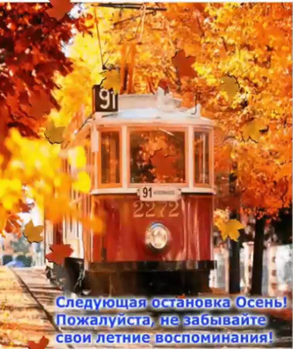 Красивая осень в говюроде