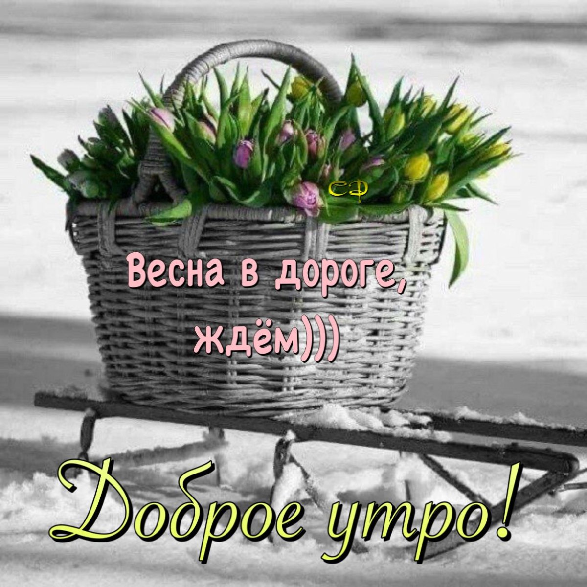 Здравствуй зима