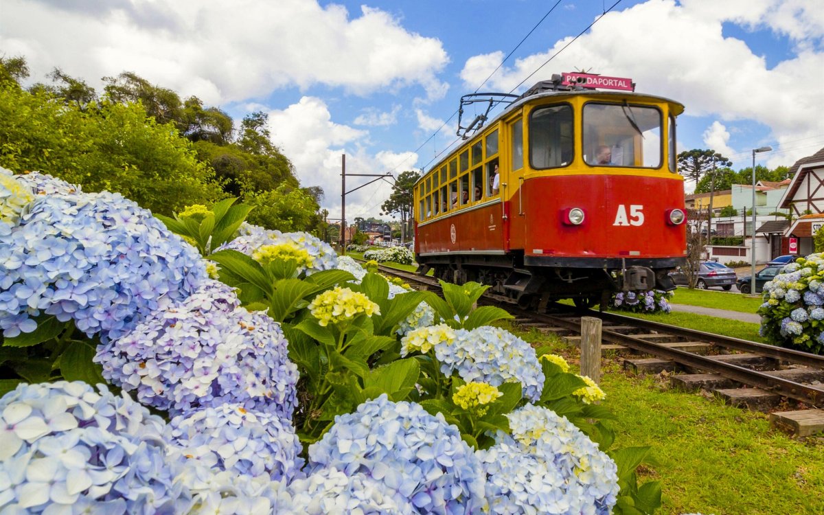 Поезд зима арт