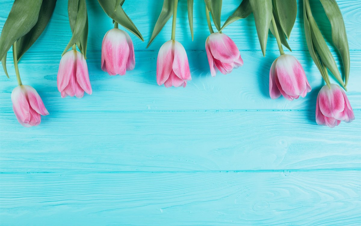 Цветы на бирюзовом фоне