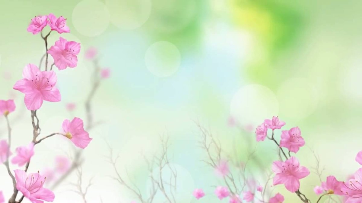 Нежный фон с цветами